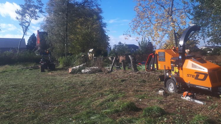 Abattage et élagage